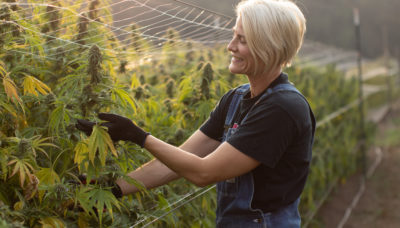 Anna Symonds in a cannabis field