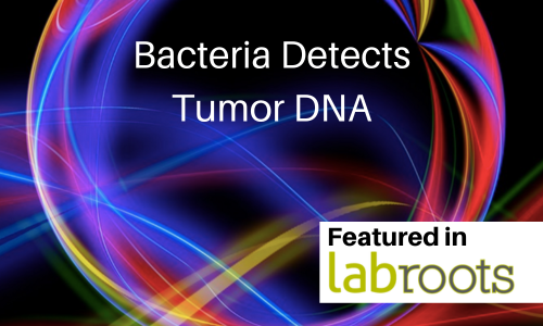 These-Designer-Bacteria-Detect-Tumor-DNA-2.png