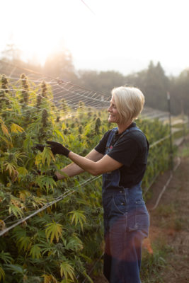 Anna Symonds in a cannabis field