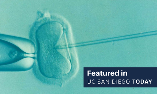 Noninvasive-Test-for-Embryo-Quality-Could-Streamline-Fertility-Treatment.png